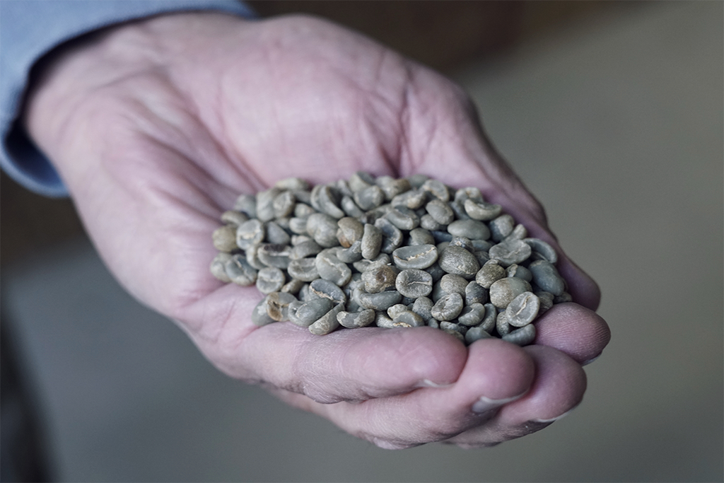 A coffee farmer tossing beans